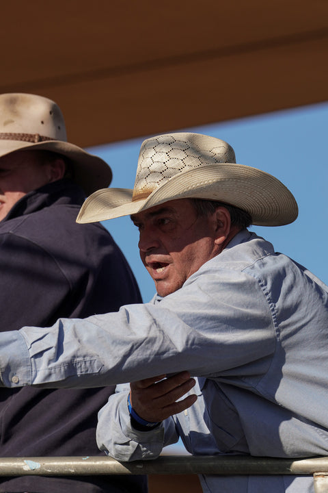 DUBBO PRIME FAT CATTLE SALE