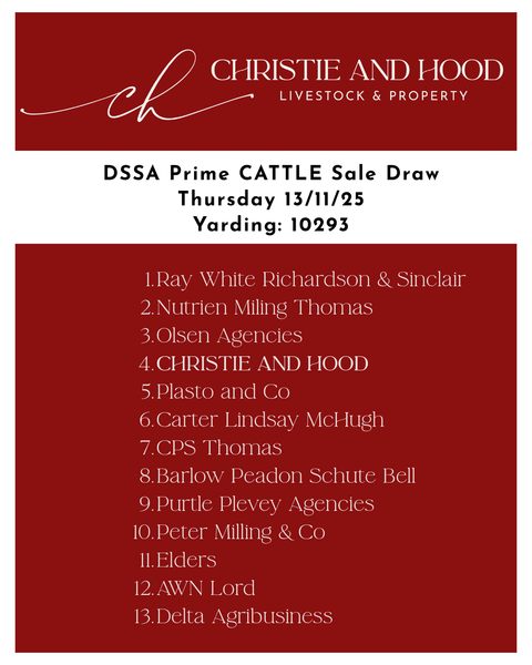 DSSA Fat Cattle Sale